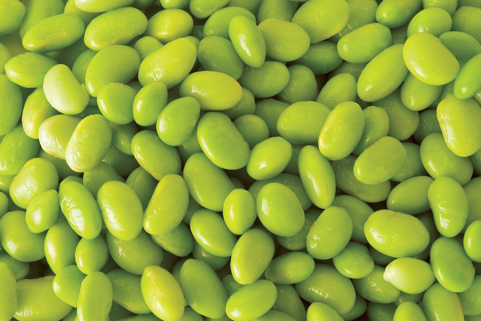 Close-up of shelled, bright green edamame beans